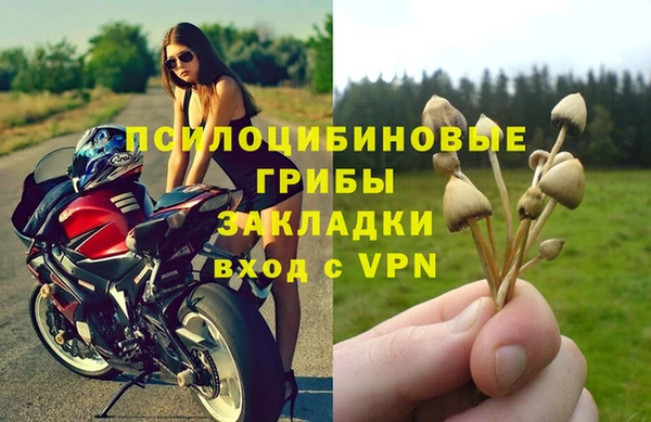 первитин Богородск