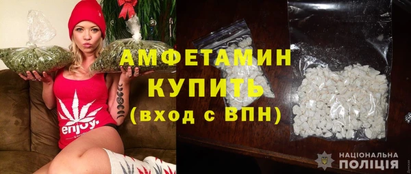 молекула духа Богданович