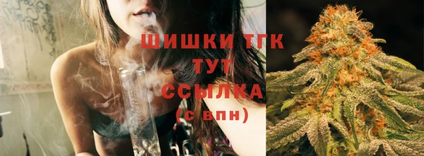 молекула духа Богданович