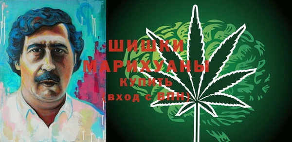молекула духа Богданович